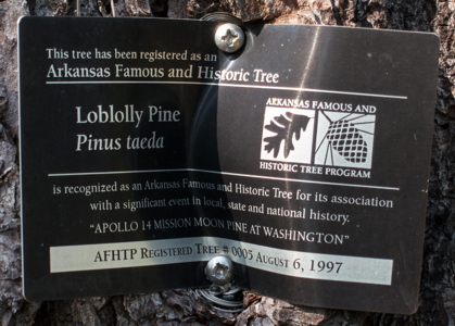 [Old Washington Park Moon Tree]