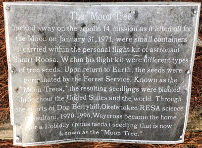 [Okefenokee RESA Moon Tree Plaque]