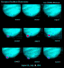 Fragment H collision sequence (9 images), color, far-IR, 19:29 to 20:15 UT, 18 July 1994