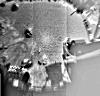 [Mars Pathfinder Rover Image]