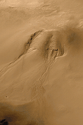 Gullies in Noachis crater