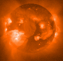 Image of the Sun taken by the Yohkoh spacecraft